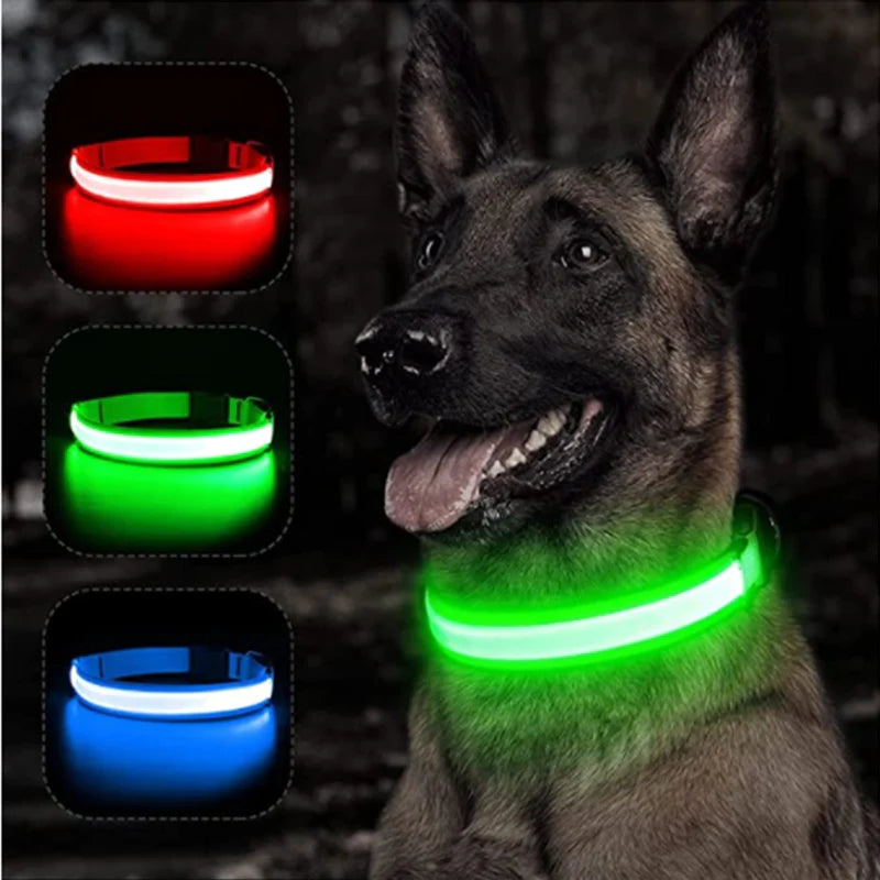 Sicherheits-Hundehalsband mit LED – sichere Spaziergänge bei Nacht 