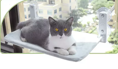 Katze Saugnapf Fenster Glas Hängematte Haustier Katze Haustiere Produkte
