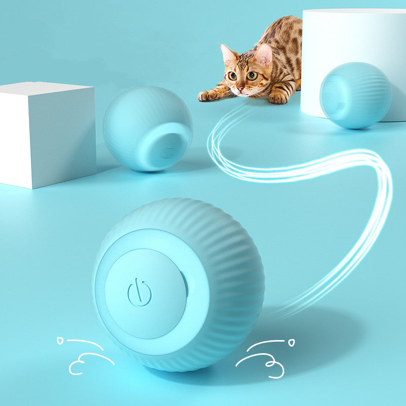 Elektryczna piłka dla kota 2.0